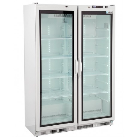 Armario mantenimiento de congelados 2 puertas ABS