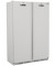 Armario refrigerado y mantenimiento de congelados 2 puertas ABS